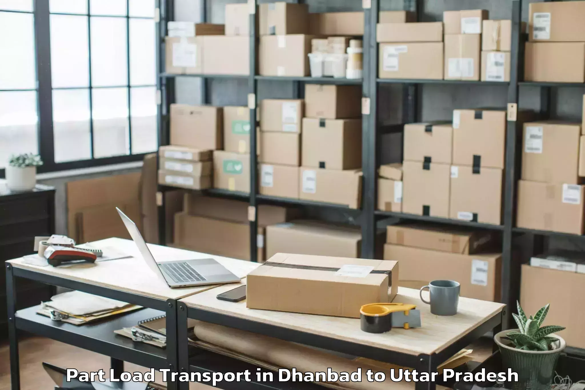 Professional Dhanbad to Phoenix United Mall Bareily Part Load Transport